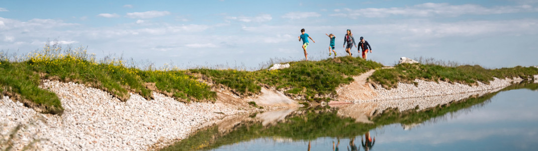 Entdecke die vielfältige Natur an der Steinplatte.