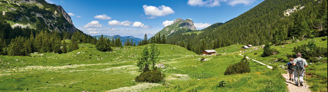 Drei Höhenlagen bieten im Tannheimer Tal traumhafte Wanderwege für alle Könnerstufen.