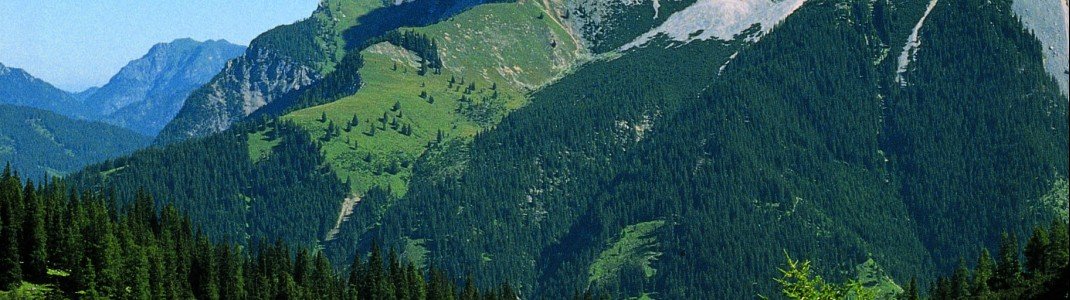 Seebensee bei Ehrwald Tirol