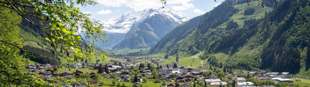 Sommeridylle im Raurisertal: Zwischen saftig grünen Wiesen und imposanten Gipfeln zeigt sich das Salzburger Land von seiner schönsten Seite.