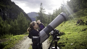 Im Krumltal im Raurisertal lassen sich mit etwas Glück majestätische Bartgeier und andere Greifvögel in ihrer natürlichen Umgebung beobachten.