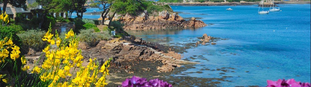 Blütenträume auf der Île de Bréhat