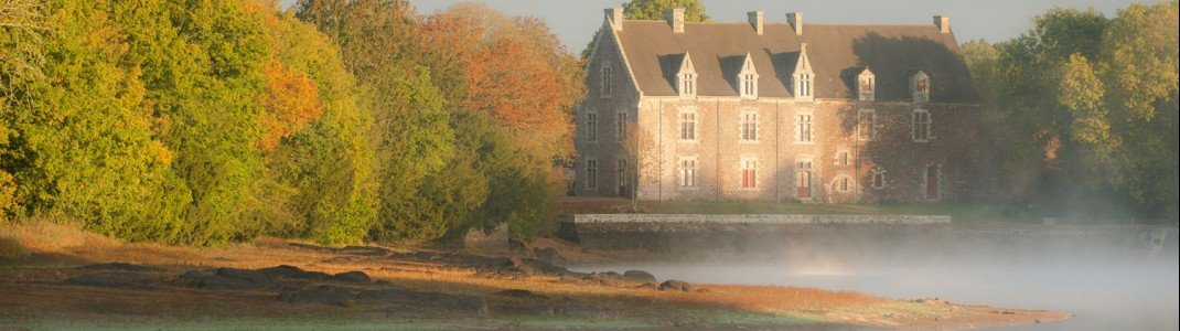 Mystische Stimmung im Wald von Brocéliande