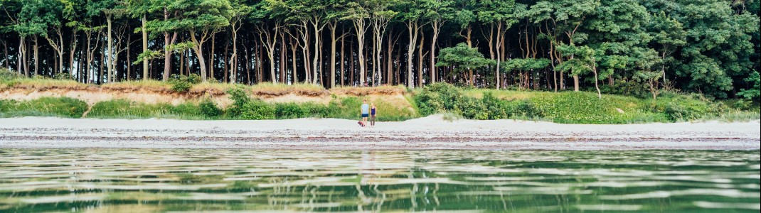 Naturstrand Nienhagen: Zwischen Steilküste und Gespensterwald wartet ein stilles Ostsee-Refugium fernab vom Trubel.