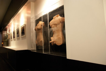 Bei diesen Ausstellungsstücken im Museum of Sex ist das Anfassen ausdrücklich gestattet.