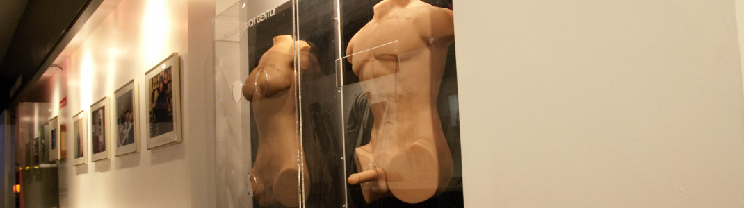 Bei diesen Ausstellungsstücken im Museum of Sex ist das Anfassen ausdrücklich gestattet.