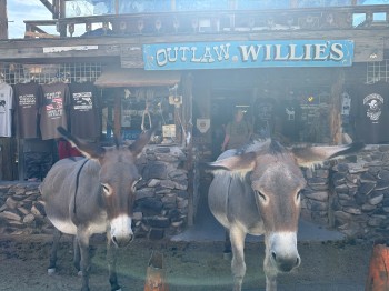 Westernflair in Oatman: Wo Esel über die Straße spazieren und Fassaden Geschichten erzählen, wird der Mythos des Wilden Westens greifbar.