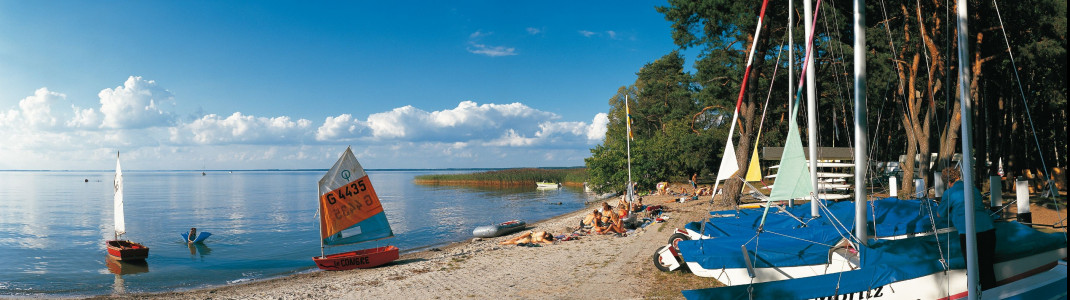 Die Müritz ist nicht nur beliebte Bademöglichkeit, sondern auch Ziel von vielen Seglern.