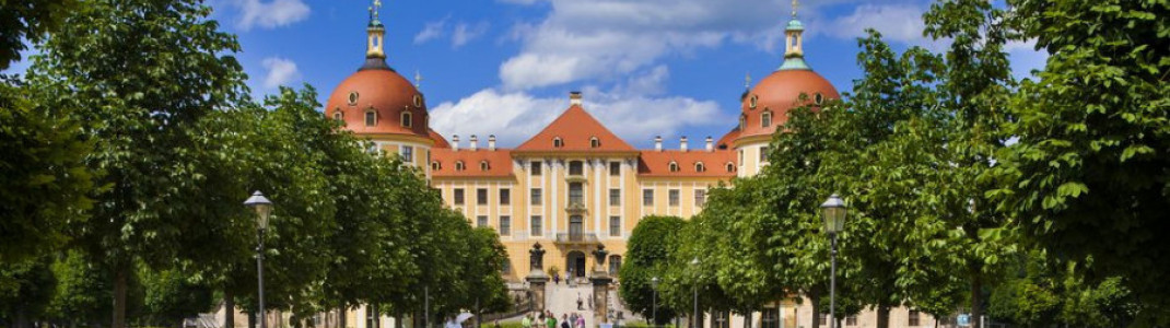 Entlang einer idyllischen Allee wanderst du bis zum Eingangsportal des Barockschloss Moritzburg