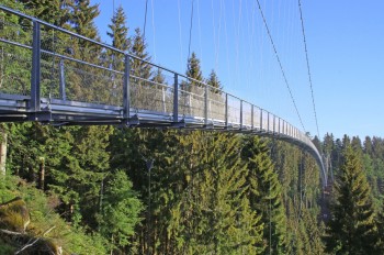 Die WildLine Hängebrücke gewährt einen Blick bis zu 300 Meter tief ins Enztal.