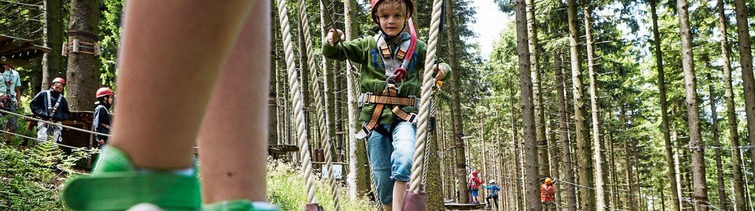 Groß und Klein kommen im Kletterwald Blomberg auf ihre Kosten.