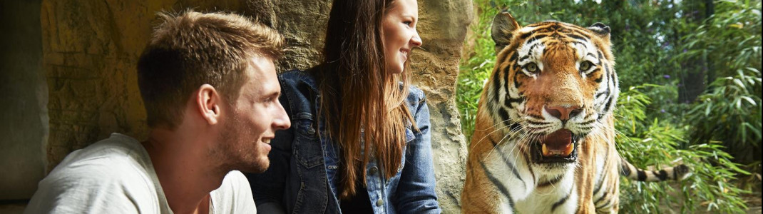 In Gelsenkirchen kann man wilden Tieren ganz nah kommen.