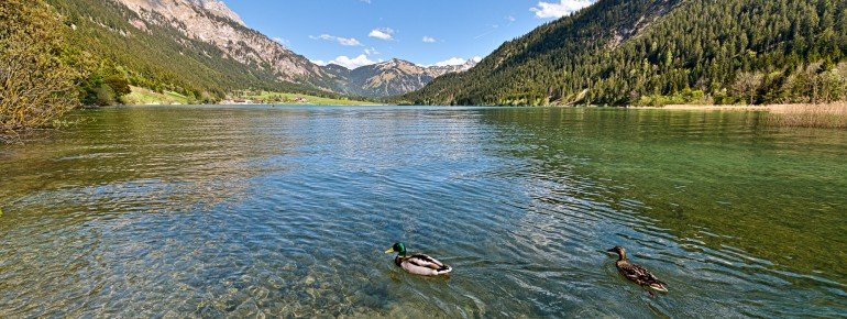 Der Haldensee ist für seine ausgezeichnete Wasserqualität bekannt.