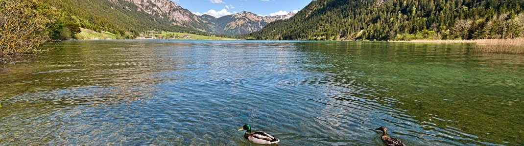 Der Haldensee ist für seine ausgezeichnete Wasserqualität bekannt.