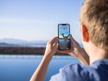 Erlebe die Saurier interaktiv auf deinem Spartphone.