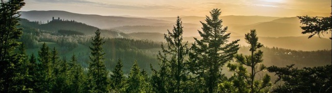 Wenn die Sonne über den sanften Hügeln des Böhmerwalds aufgeht, zeigt sich die Erlebnisregion von ihrer ursprünglichsten Seite – ruhig, weitläufig und voller Naturmomente.