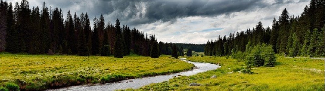 Unberührte Natur, stille Flusslandschaften und dichte Wälder machen den Böhmerwald zu einem Rückzugsort für alle, die Ruhe und Weite suchen.