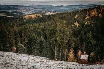 Endlose Wälder, sanfte Hügel und weite Ausblicke prägen die ursprüngliche Landschaft des Böhmerwalds – ein Paradies für Naturliebhaber.