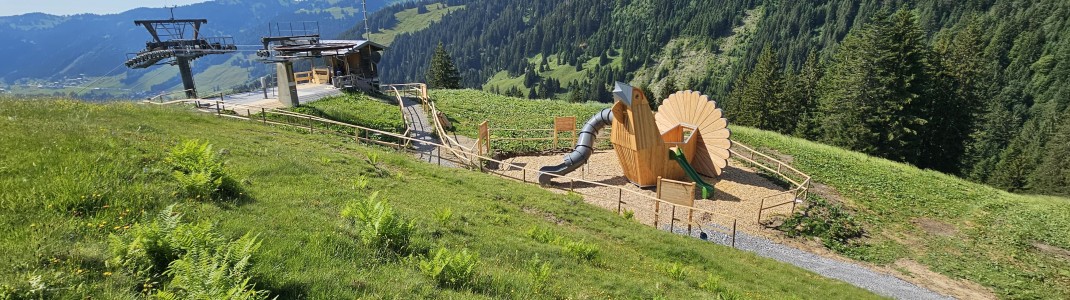 Nicht zu übersehen ist die Erlebniswelt über das Raufußhuhn am Riedbergerhorn.