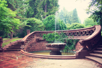 The park that constitutes Ohlsdorf Cemetery is particularly beautiful and hardly comparable to other cemeteries in Central Europe.