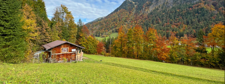 Herbstliche Farben im Trettachtal südlich von Oberstdorf.