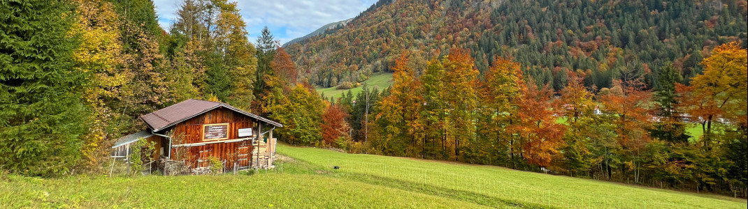 Herbstliche Farben im Trettachtal südlich von Oberstdorf.