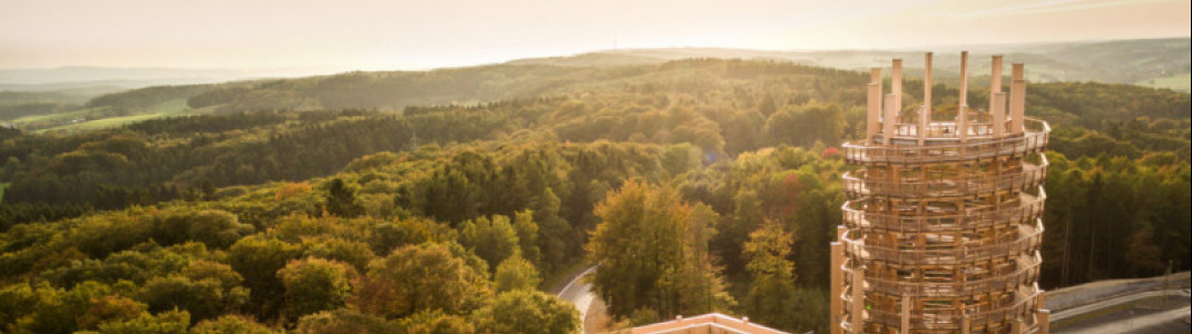 Abendstimmung am Baumwipfelpfad Panarbora - vom Aussichtsturm aus l&auml;sst Du den Blick &uuml;ber das weite Bergische Land schweifen