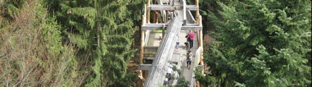 Im &ouml;sterreichischen Kopfing befindet sich der l&auml;ngste Baumkronenweg der Welt