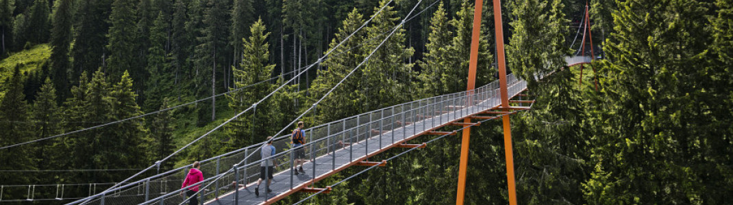 Unterwegs auf der Golden Gate Bridge der Alpen