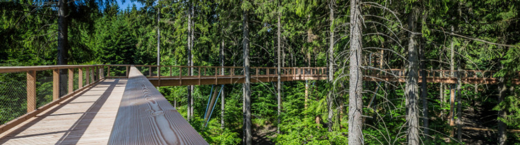 In Krkono&scaron;e marschierst du mitten durchs Riesengebirge
