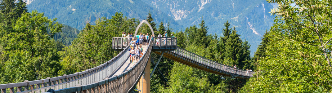 Auf dem Baumkronenweg Ziegelwies ist man den Gipfeln ganz nah