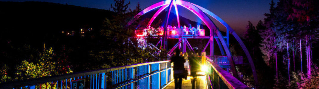 Stimmungsvolle Beleuchtung beim 'Wipfelleuchten' am Baumwipfelpfad Harz