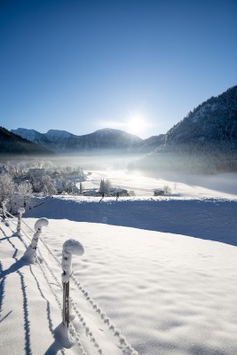 Die Morgensonne taucht das verschneite Tal der Ammergauer Alpen in sanftes Licht.