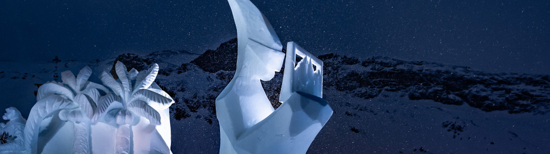 3rd place: "Palmboarder 2050 - Palm trees on the mountain and surfing the net".