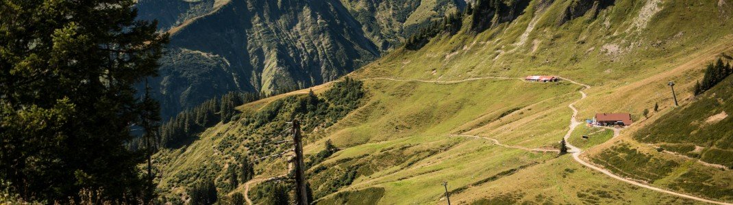 Blick vom Walmendinger Horn