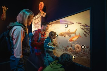 Im Triassic Center erfährst du noch mehr über die Urzeit.