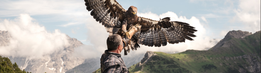 Einzigartiges Erlebnis: Eine Adlerwanderung in Malbun