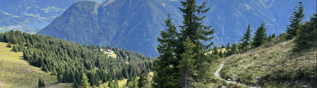 Beim Abstieg von der Sausteige reicht der Blick bis zum Zeller See.