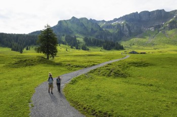 Von gemütlichen Almwegen bis zu Gipfeltouren bietet Mellau vielfältige Wandermöglichkeiten.