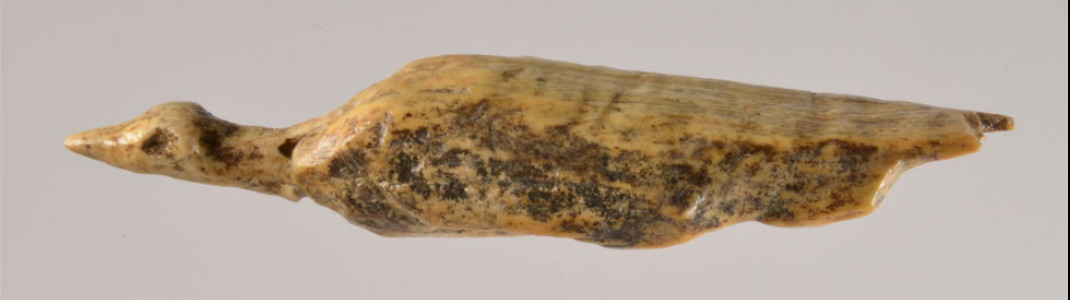 Eine gefundener Wasservorgel aus dem Hohle Fels