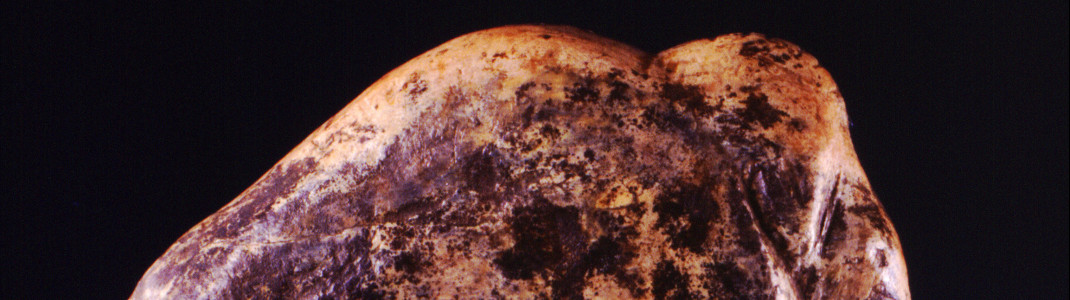 Diese Mammutfigur aus dem Vogelherd ist 40.000 Jahre alt.