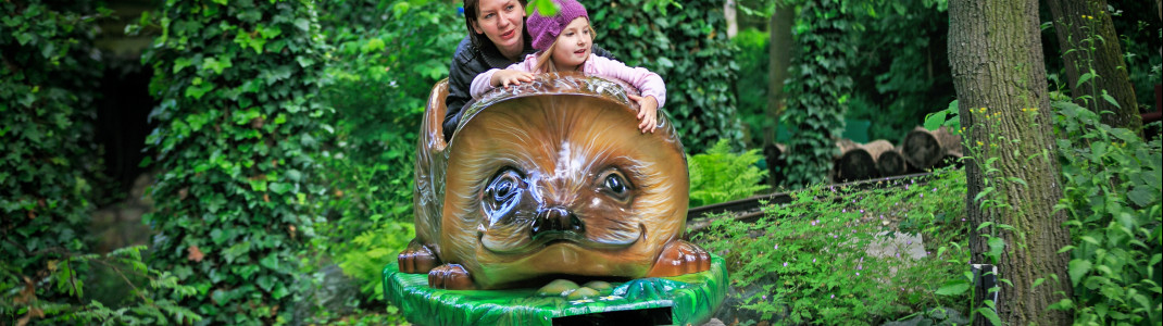 Beim neuen Hoftierrennen im Bayern-Park gehts munter durch den Wald.