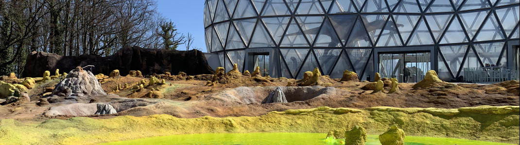 Brodelnde Tümpel vermitteln im Saurierpark ein Bild der Zeit vor rund 540 Millionen Jahren.