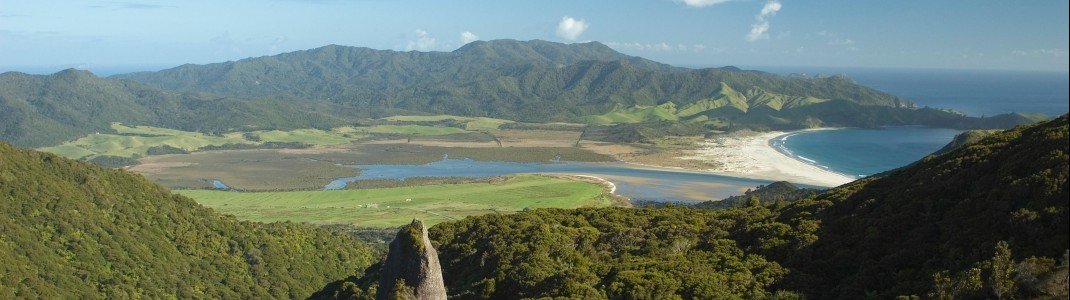Die traumhafte Natur rund um Auckland