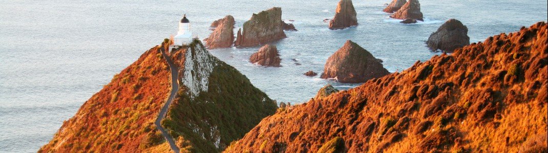 Eindrucksvolle Farben am Nugget Point in Southland