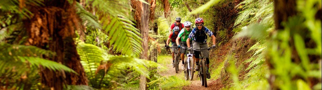 Die Natur auf zwei Rädern erkunden