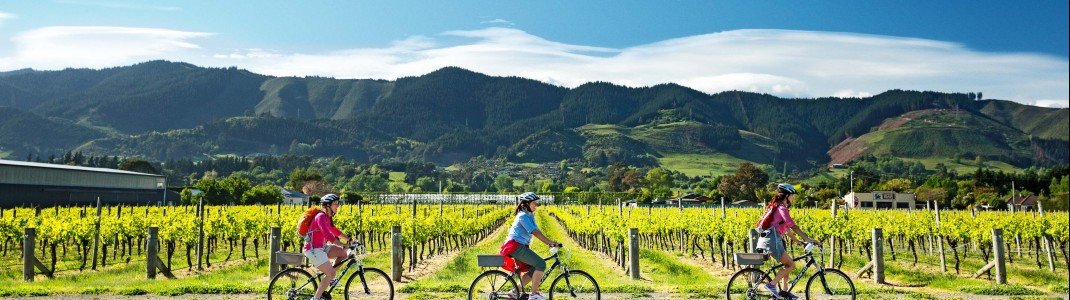 Radfahren in den idyllischen Weinanbaugebieten