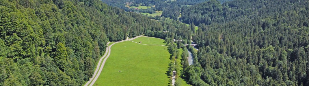 Toll gelegen: Die Skating-Strecke geht vorbei an Kuhweiden, einem Gebirgsbach und der Heini-Klopfer-Skiflugschanze.