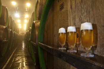 Das Pilsner Bier ist weltberühmt