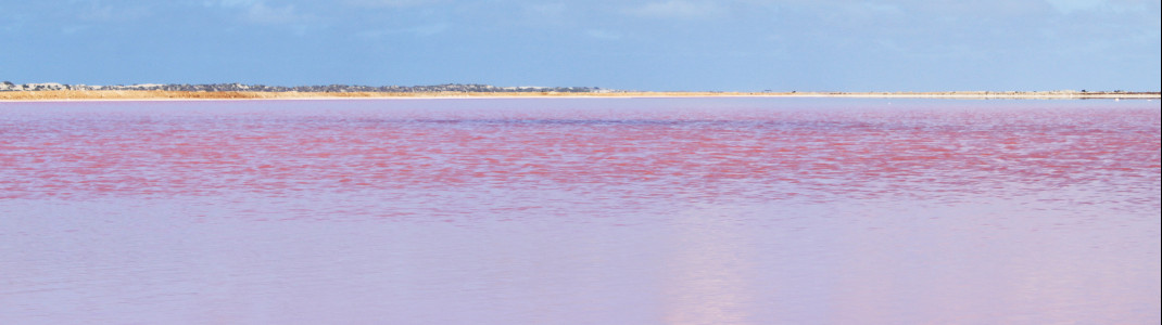 Dieser Pink Lake liegt in der Nähe von Geraldton in Western Australia.